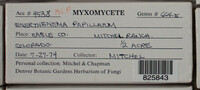 Image Associated With the Occurence